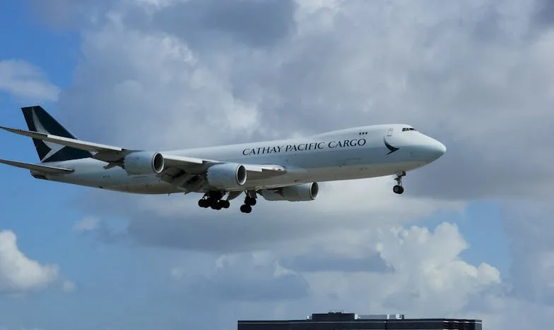 Sama u tišini: Priča o izdaji, samoći i ponovnom pronalasku sebe