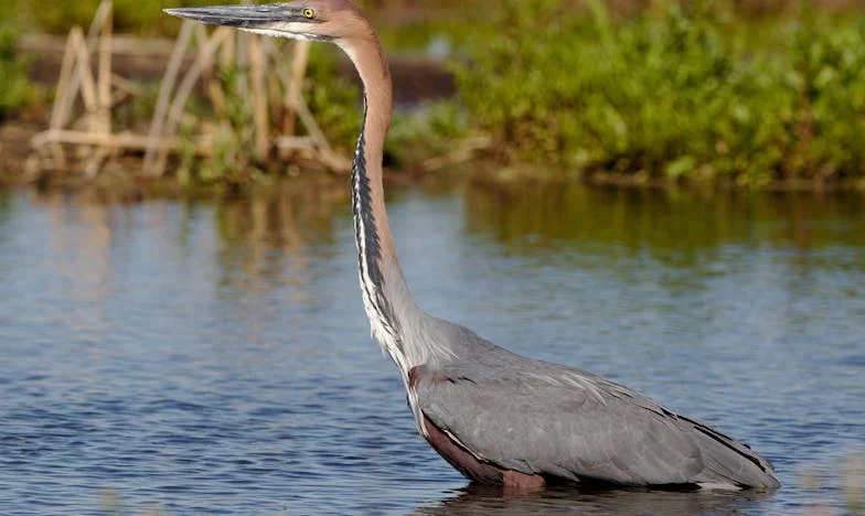 Šest godina tuđe brige: Priča o žrtvi, obitelji i izdaji
