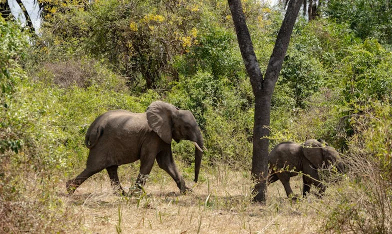 Šutnja između zidova: Priča o izgubljenom povjerenju