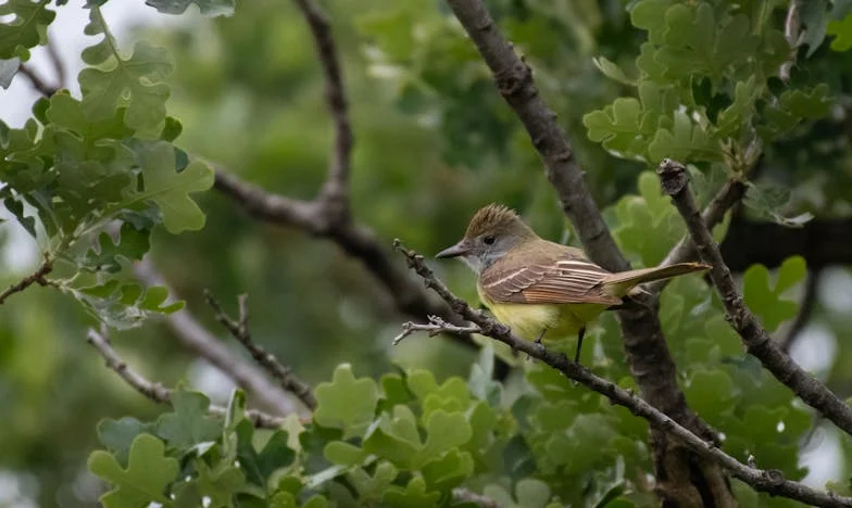 Večer kad sam čula razgovor koji mi je promijenio život: Priča jedne majke
