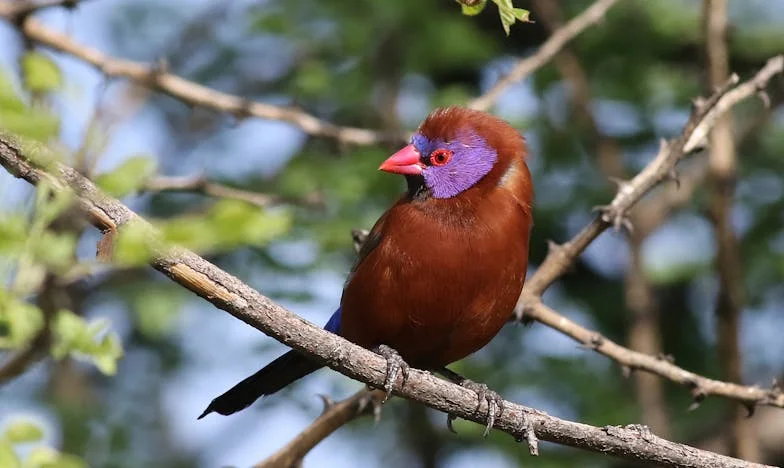 Dan kad se Adrian vratio promijenjen: Tajna koja nas je razdvojila