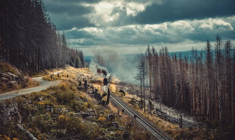 Između dvije vatre: Priča o nepravdi u obitelji