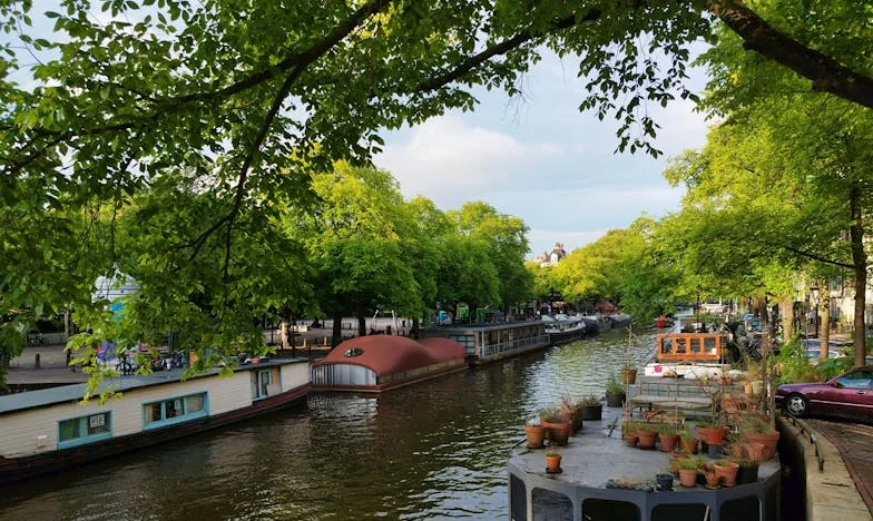 Između Dvoje Srca i Jednog Doma: Kako Sam Naučila Voljeti Svoju Svekru