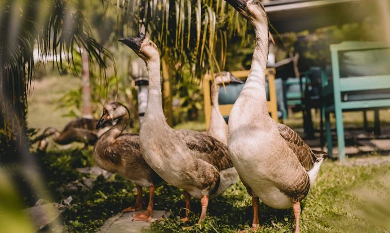 Kad muž ne želi otići: Život pod istim krovom s njegovom majkom