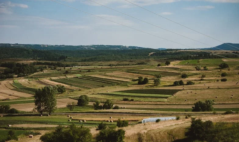 Kad roditelji odu, nema povratka: Priča o oprostu i tvrdoglavosti