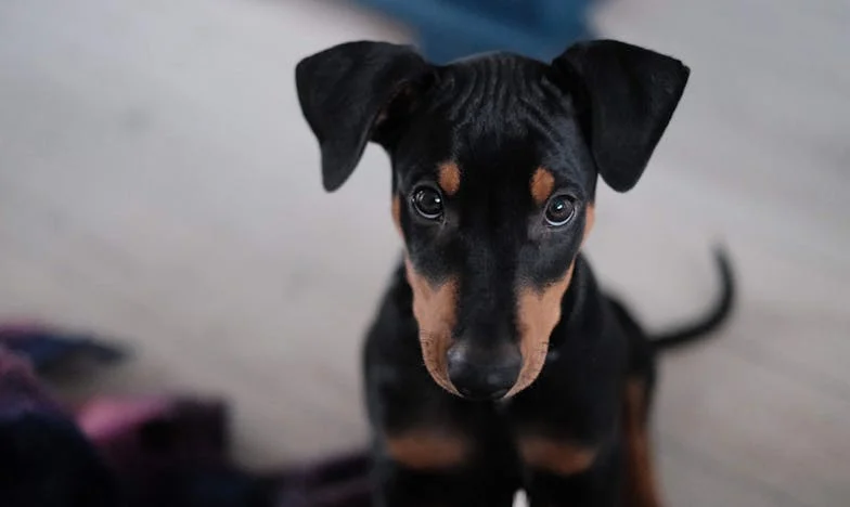 Kad te vlastita kći optuži: Priča o izdaji, oprostu i ponovnom pronalasku ljubavi