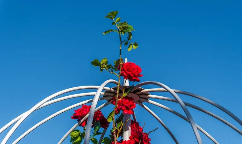 Koliko vrijedi roditeljska žrtva?