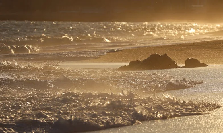Kuća pod istim krovom: Kako sam preživjela život sa svekrom