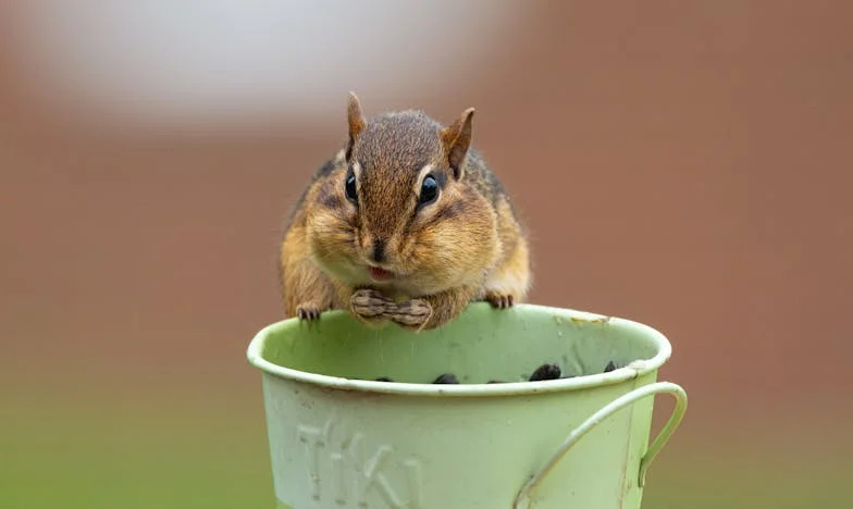 Majčina pomoć ili kći koja ne prašta: Bitka za obiteljsku sreću u Zagrebu