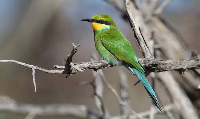 Majka je izabrala moju sestru, a moju djecu ostavila praznih ruku