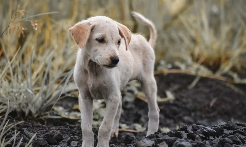 Molitva između lonaca: Kako sam pronašla snagu u vjeri usred obiteljske svađe