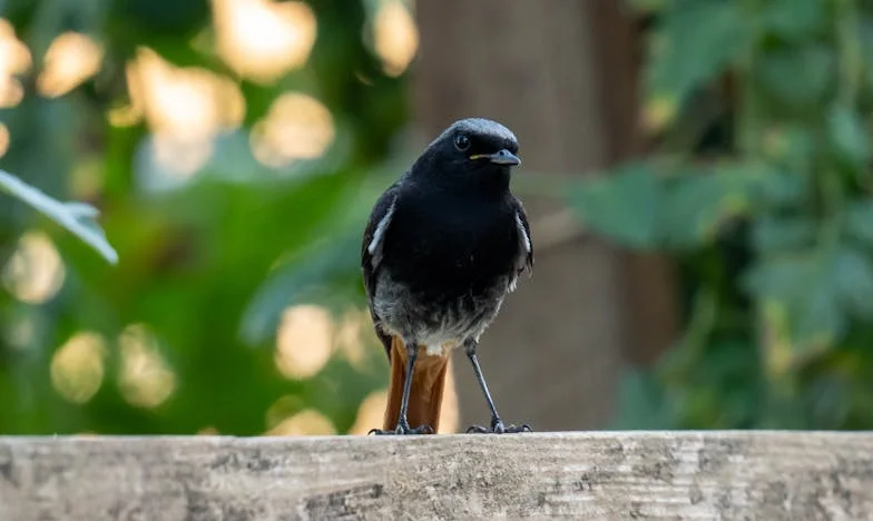 Muž mi je doveo ljubavnicu kući dok nam je kćer bila u bolnici: Kad sam rekla mami, nije me podržala