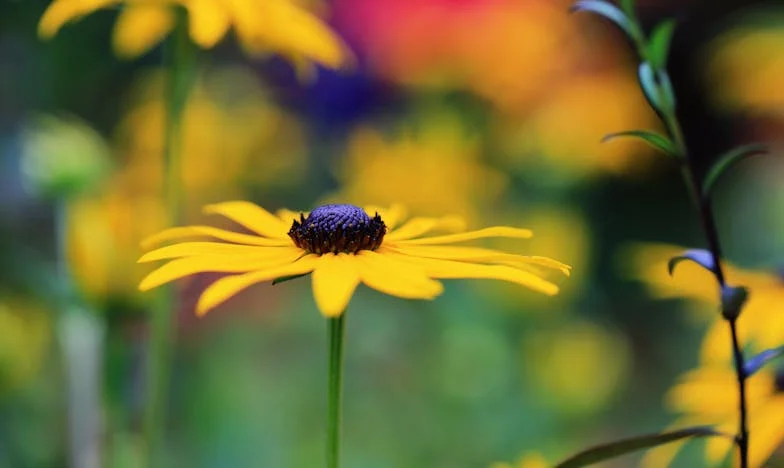 Naš sin ne dolazi više: Kad ljubav prema djetetu zaboli više od samoće