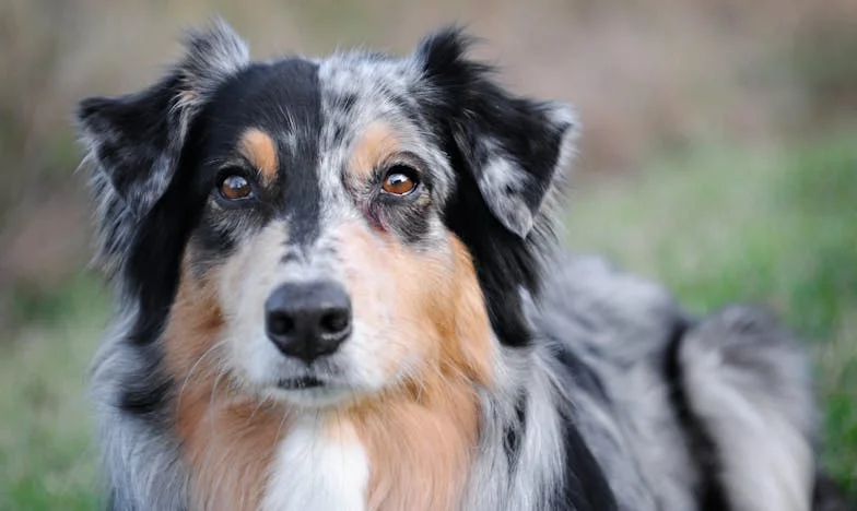 Naša kćer voli gubitnika: Priča o ljubavi, razočaranju i granicama roditeljske brige