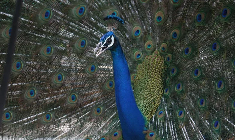 Od snova do stvarnosti: Kako me stara kuća i tvrdoglava kći naučile voljeti život