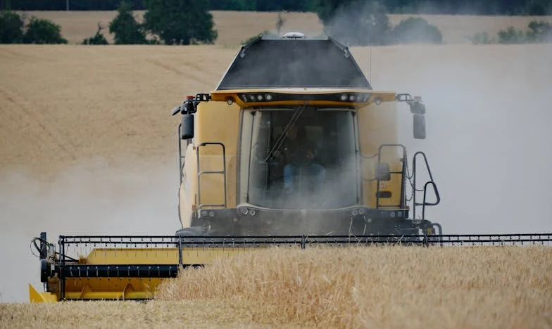 Odmor iz snova koji je postao noćna mora zbog moje svekrve