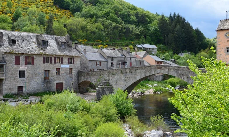 Opraštanje koje nikad nisam dobila: Priča o oporuci, obitelji i boli