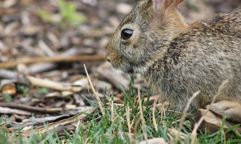 Osam godina braka: Jesam li samo sluškinja u vlastitoj kući?