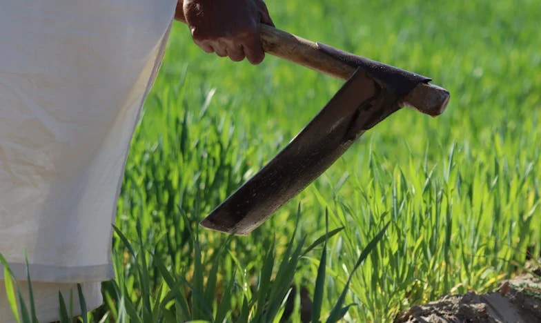Osamnaest godina kave i tišine: Istina koju sam saznala kad je nestao gospodin Franjo