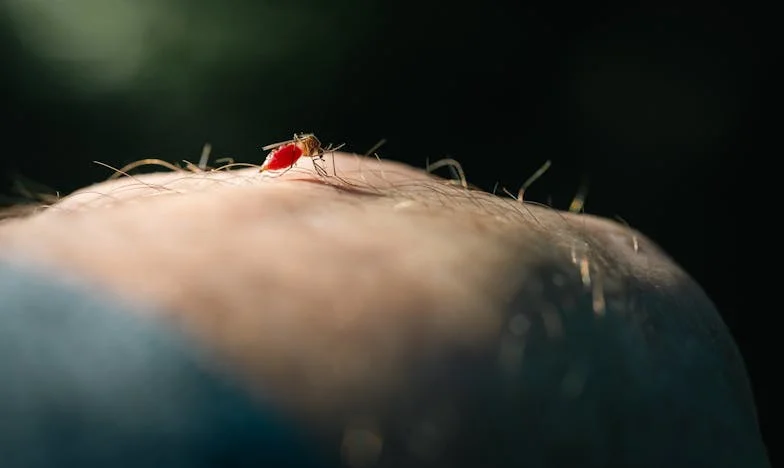 Pala sam na obiteljskom ručku jer mi muž nije pomagao s našom bebom – Je li ovo kraj naše obitelji?