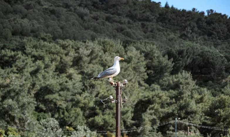 Povratak koji je sve promijenio: Moja sestra, njen muž i ja između četiri zida