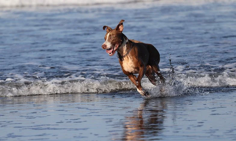 Predala sam kćeri stan. Godinu dana kasnije izbacila me na ulicu