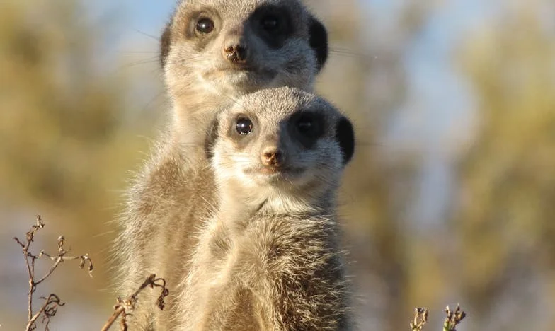 Samo je večera, što se praviš važna?