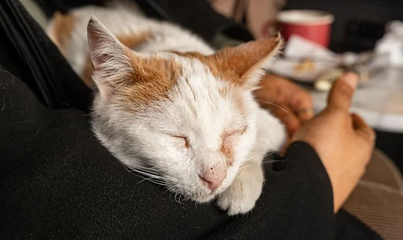 Stan koji mi je otac ostavio, a majka traži pola: Istina koju nisam željela čuti