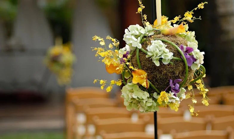 Tajna na grobu: Priča o izgubljenoj sestri i obiteljskoj izdaji