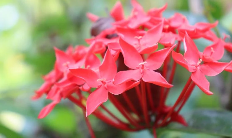 Vjera, igračke i suze: Kako sam pronašla snagu kad je Ivan odbio poslušati