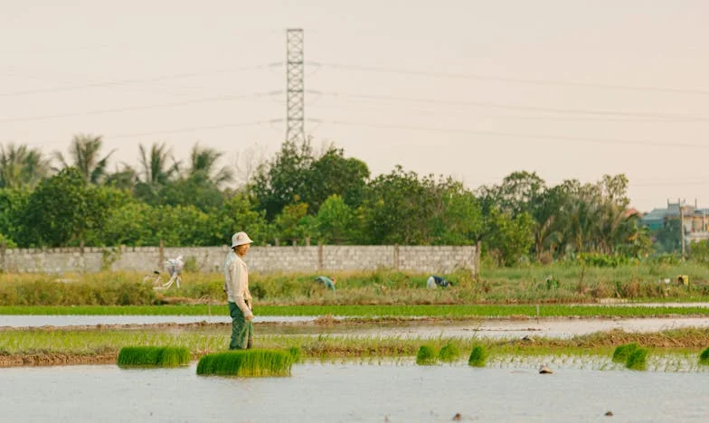 Zašto sam pristala čuvati unuka: Nikad više