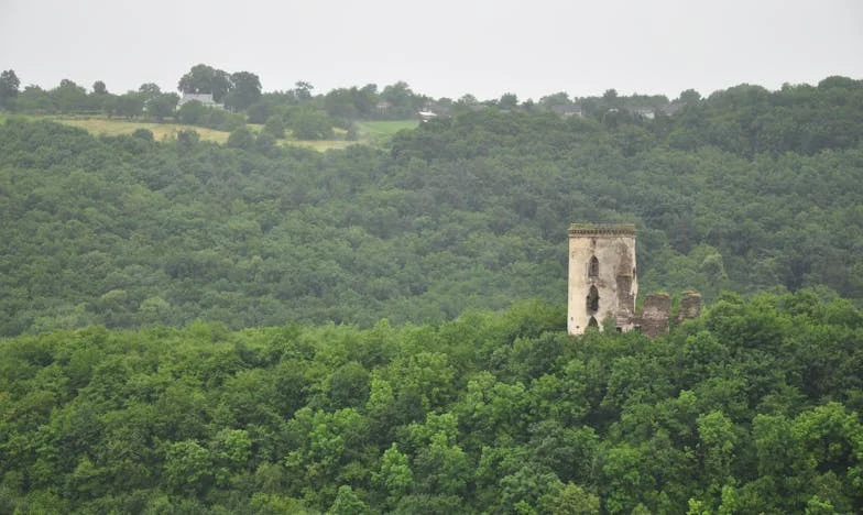 Ako imaš imalo savjesti, barem operi suđe: Priča jedne majke iz Sarajeva