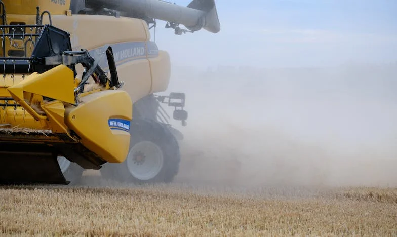 Bivša svekrva na mojoj strani: Priča o borbi za sina i neočekivanoj podršci