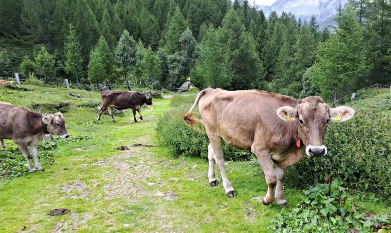 Četiri godine tišine: Dan kad sam napokon progovorila