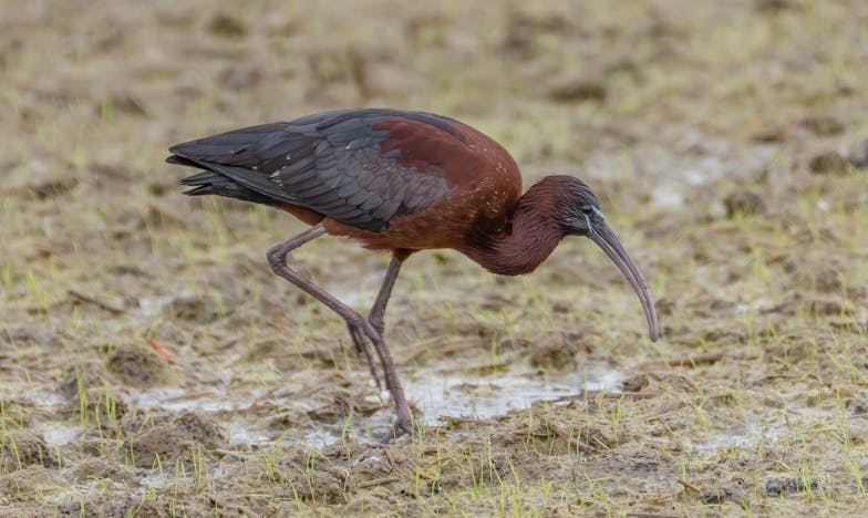 Dan kad me svekrva prvi put nazvala 'kćeri'