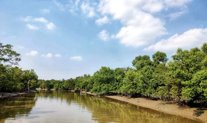 Ispod Iste Krova: Kad Povjerenje Nestane