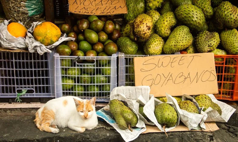 Između Majke i Supruge: Moj Život u Sjeni Tuđih Odluka