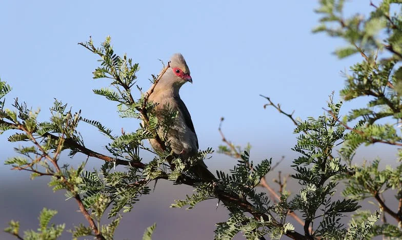 Jedno ljeto, jedan ultimatum: Kako sam spasila svoju obitelj (ili sam to samo sebi umišljala?)