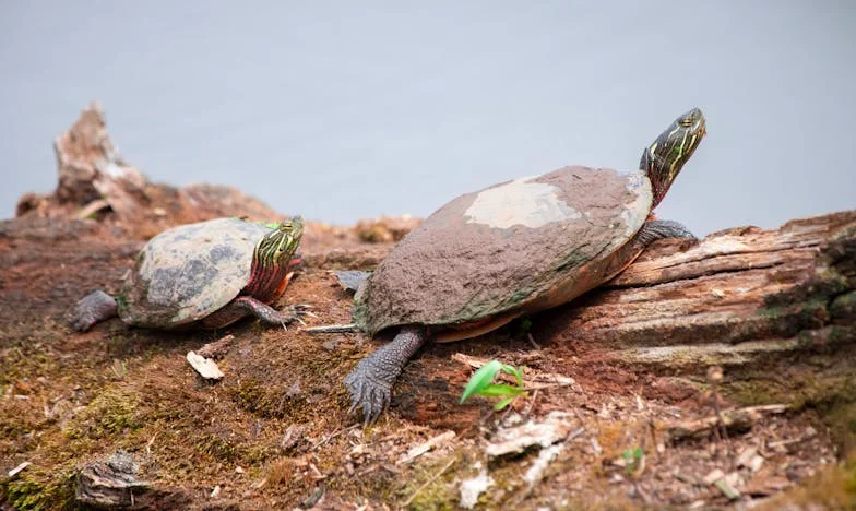 Kad djeca brinu o roditelju samo zbog nasljedstva: Istina koju sam otkrila u bolničkoj sobi