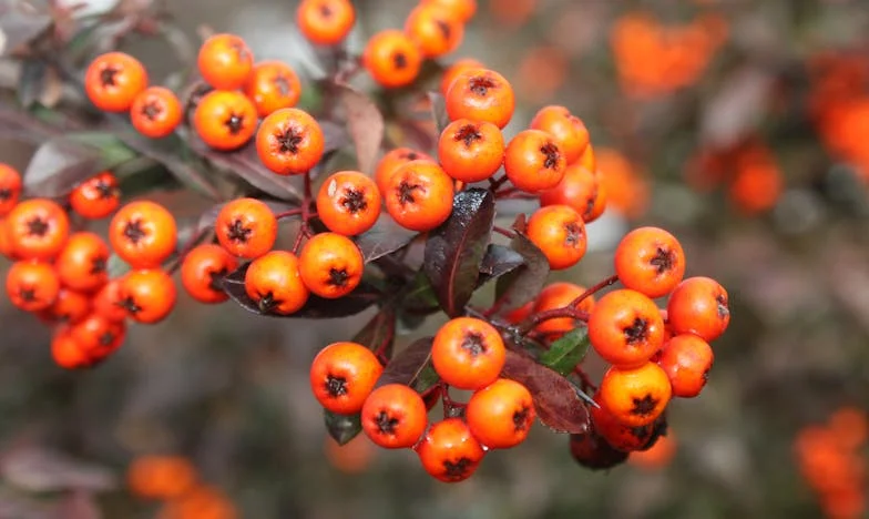 Kad je mama rekla da rodbina dolazi: Ovaj put sam odlučila drugačije