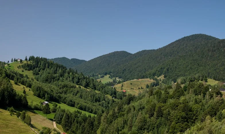 Kad ljubav nije dovoljna: Priča o izgubljenim snovima i obiteljskim raskolima