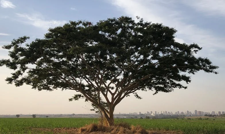 Kad su naše majke postale prijateljice: Početak kraja na kavi u Sarajevu