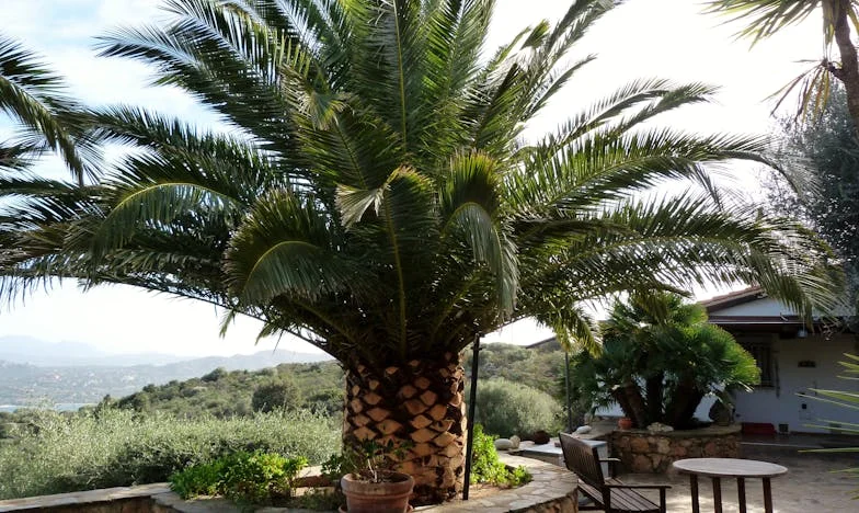 Kako me možeš ne vidjeti? Priča žene koja se izgubila u vlastitoj obitelji