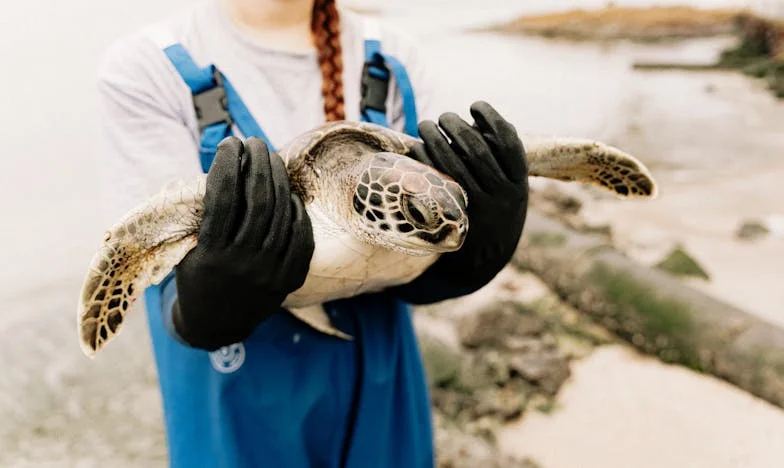 Koliko djece je previše? Obiteljska drama u srcu Sarajeva