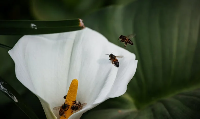 Majčina Pravila: Kako Me Svekrvina Tradicija Gotovo Slomila