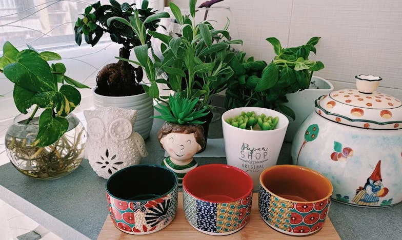 Mogu li vjerovati vlastitom sinu?