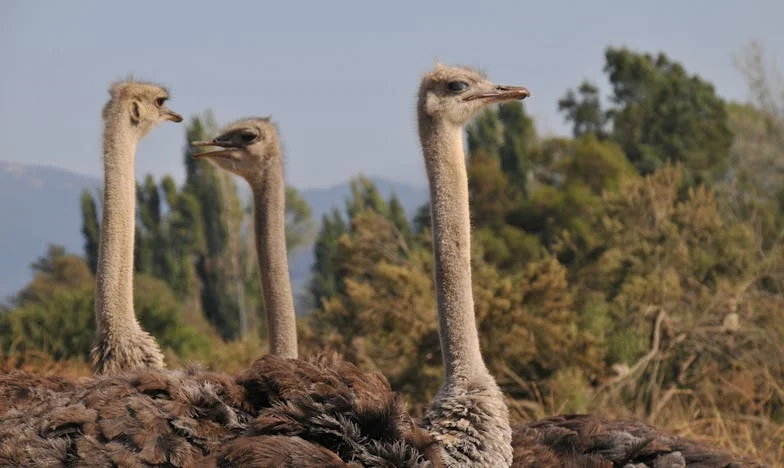 „Moj muž neće obnavljati tvoju kuću!” – Kako je svekrvina rečenica razbila našu obiteljsku sreću
