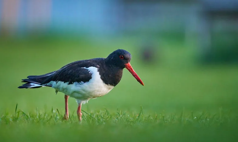 Nevidljiva nit: Prijateljstvo na kušnji zbog majčinstva