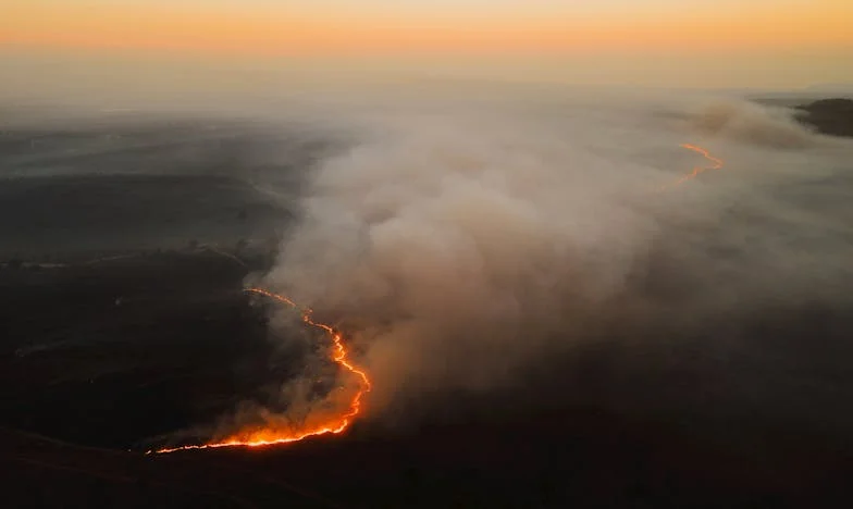 Nikad Ne Odlazi: Moj Muž, Naša Kuća i Moja Samoća