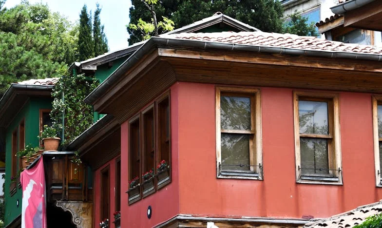 Nisam dadilja – priča o granicama, porodici i vlastitom životu